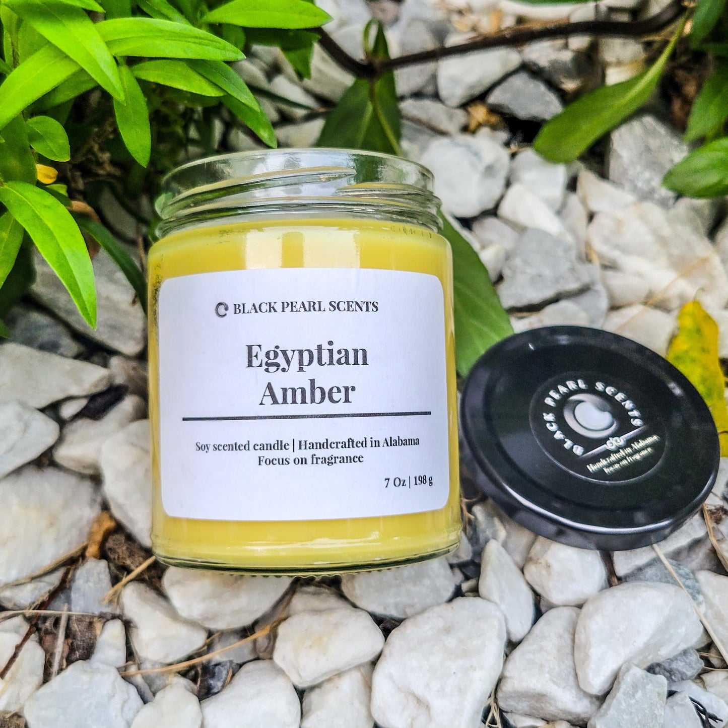 Earthy Egyptian Soy Candle | Woodsy Masculine Home Fragrance